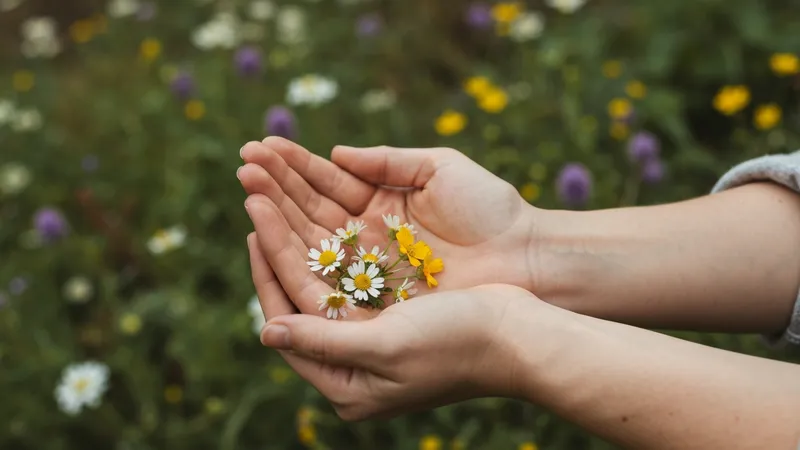 Fleurs de Bach pour la colère